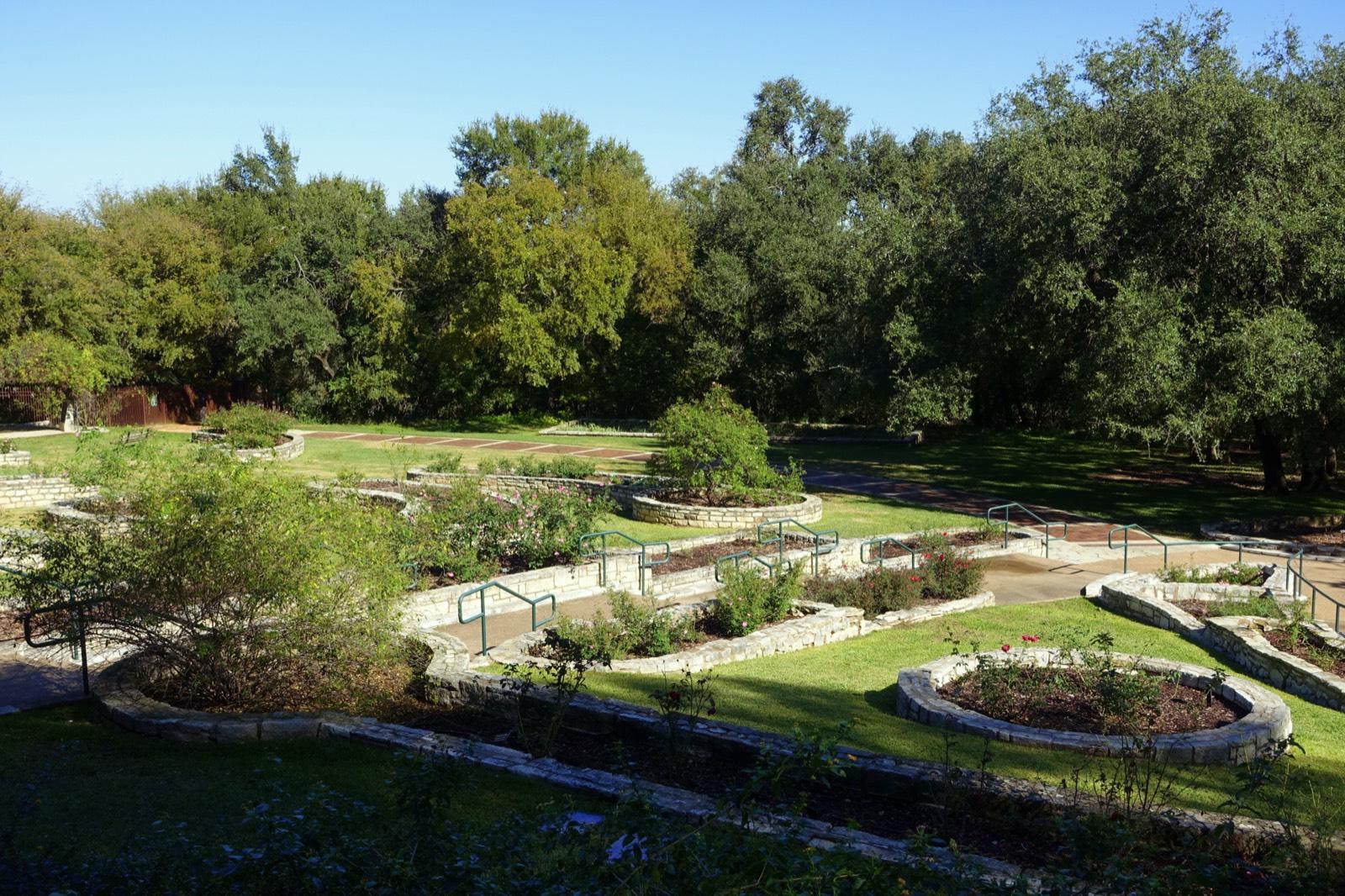 Mabel Davis Rose Garden at Zilker Botanical Garden with rose beds, paths, and stone borders