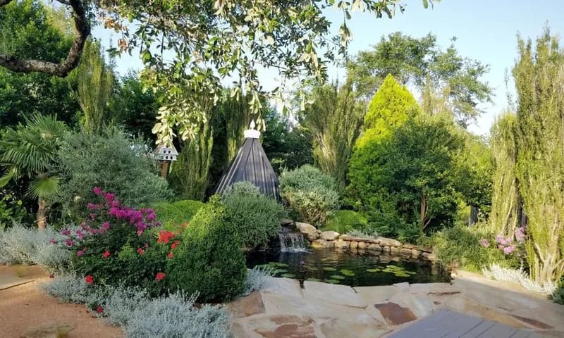 Garden path, pond, and trees at Honeybee House