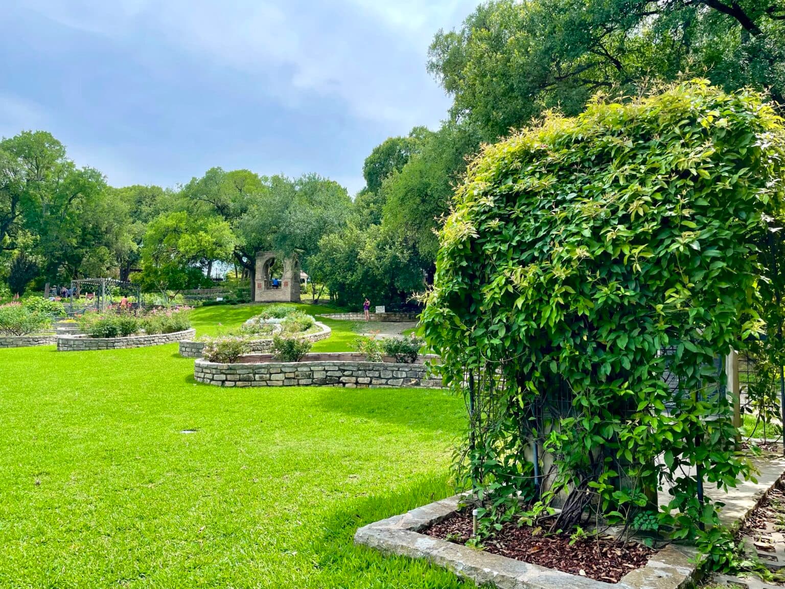 Green lawn, rose beds, and vine-covered arbor at Zilker Botanical Garden